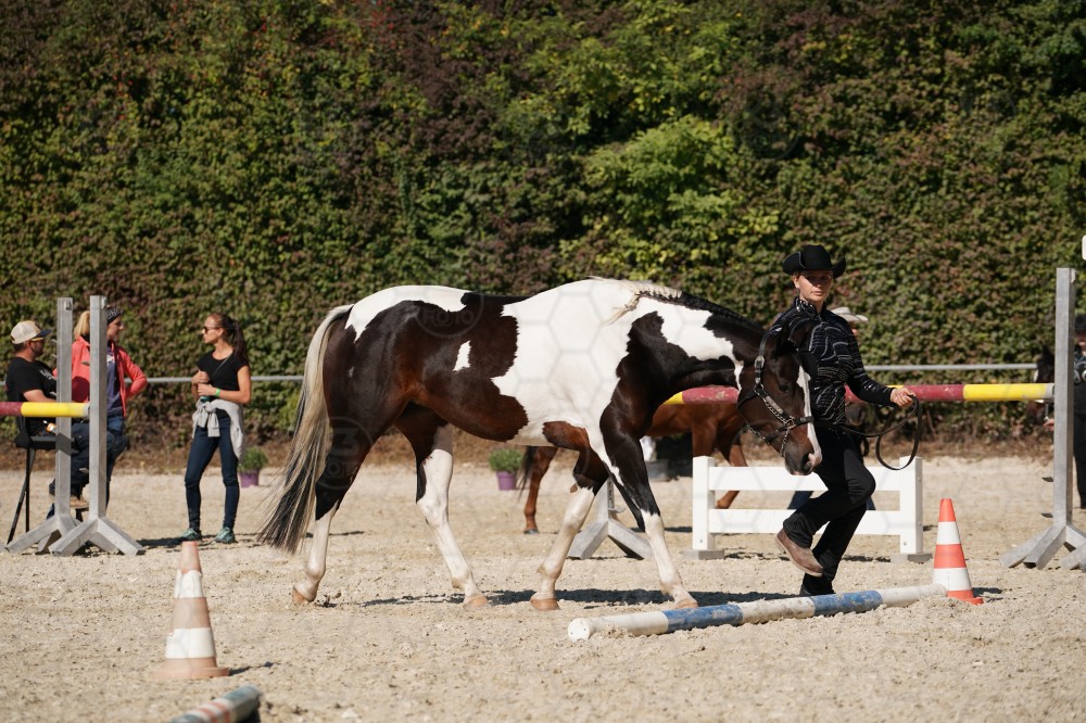 s_A_907503.JPG
